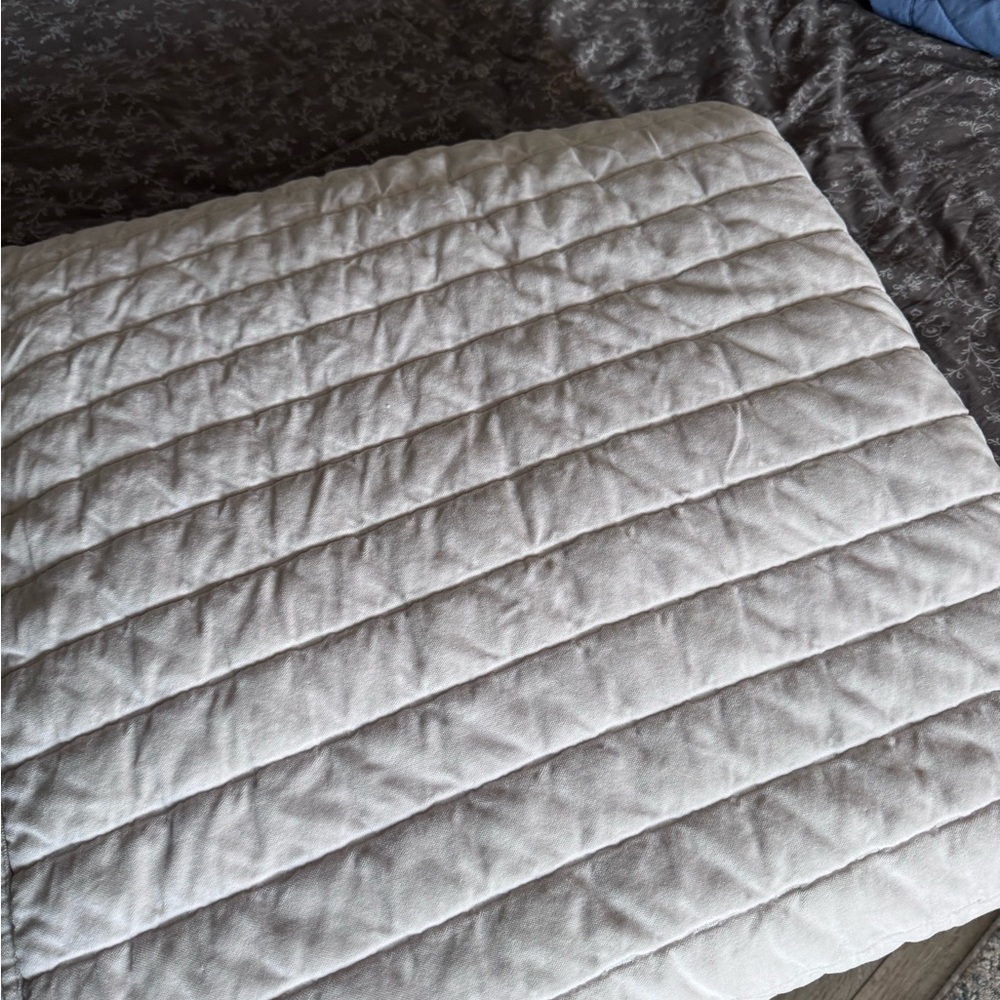 Ivory Threshold Velvet Comforter